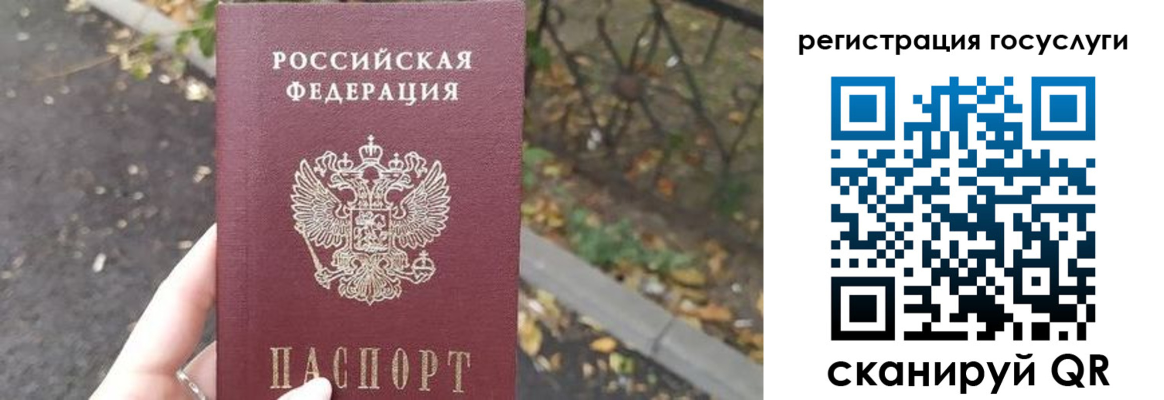 купить прописку в Коле